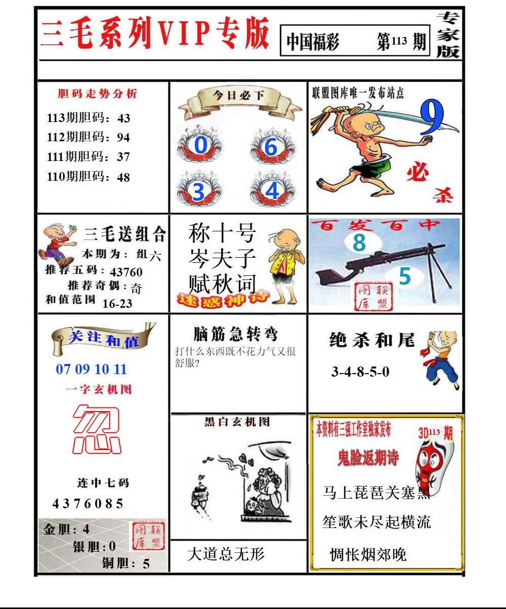 三毛专家版