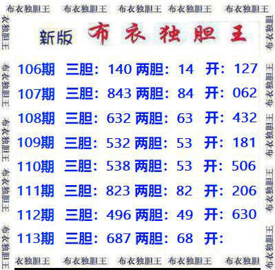 布衣独胆王