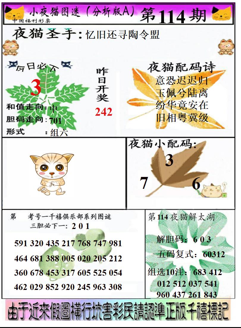 真小猫A