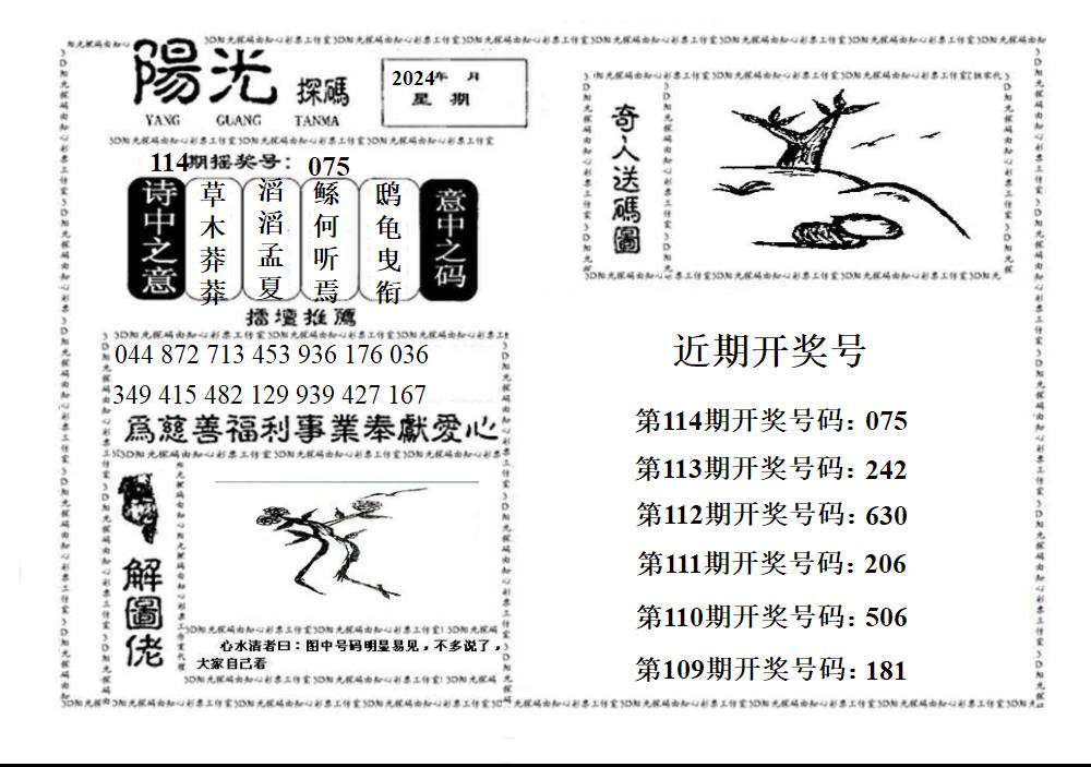3D阳光探码