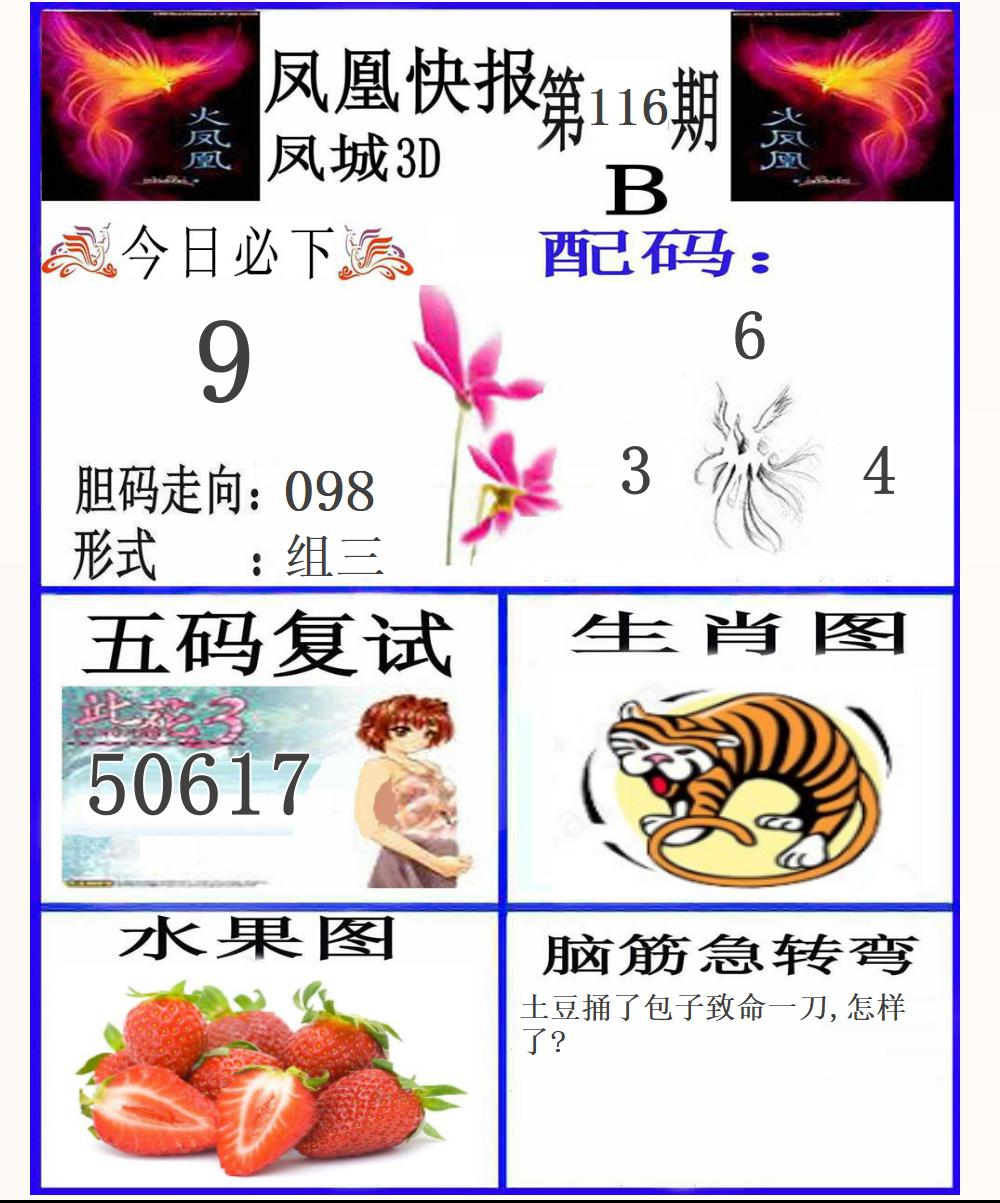 3D凤凰快报B版