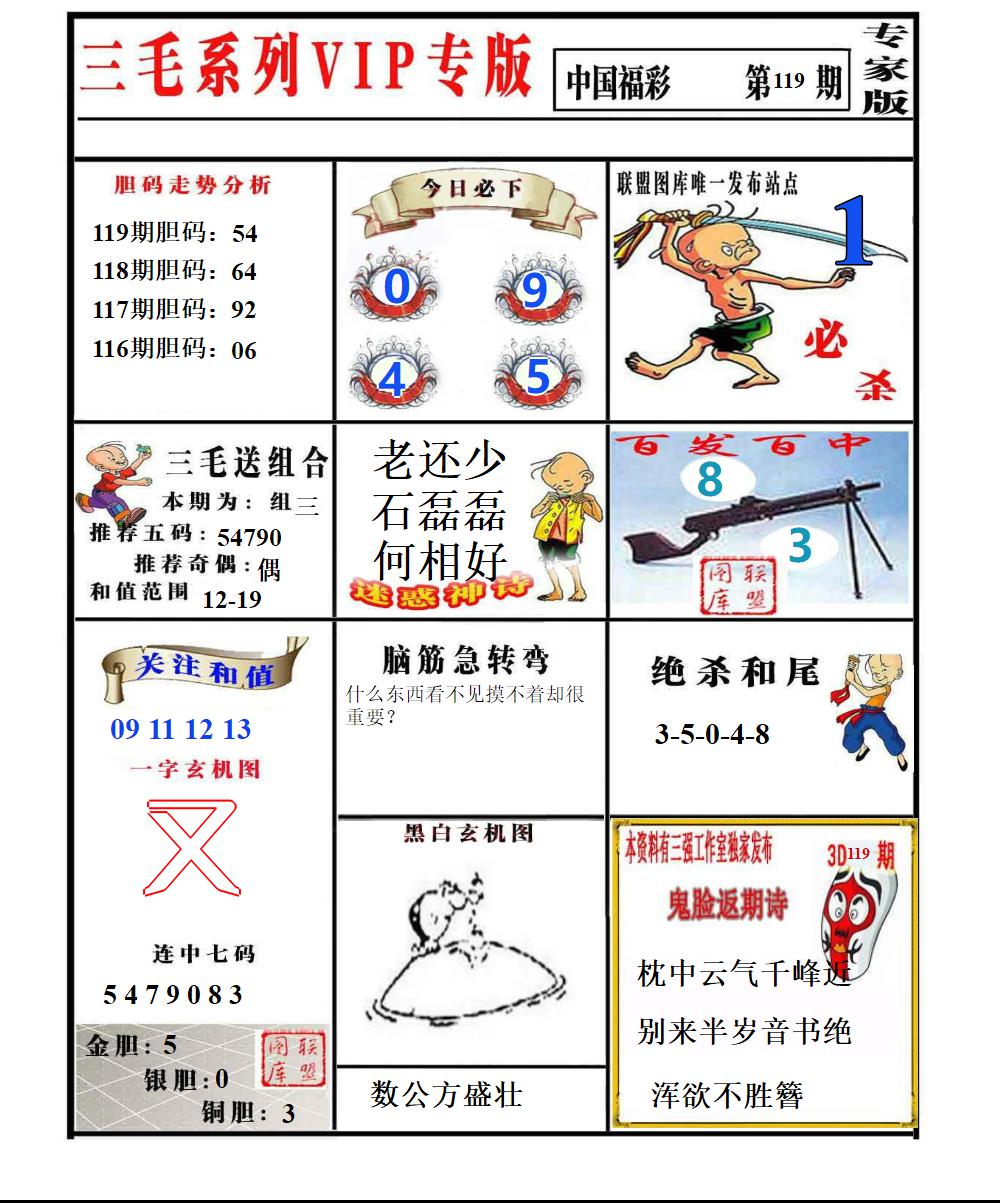 三毛专家版