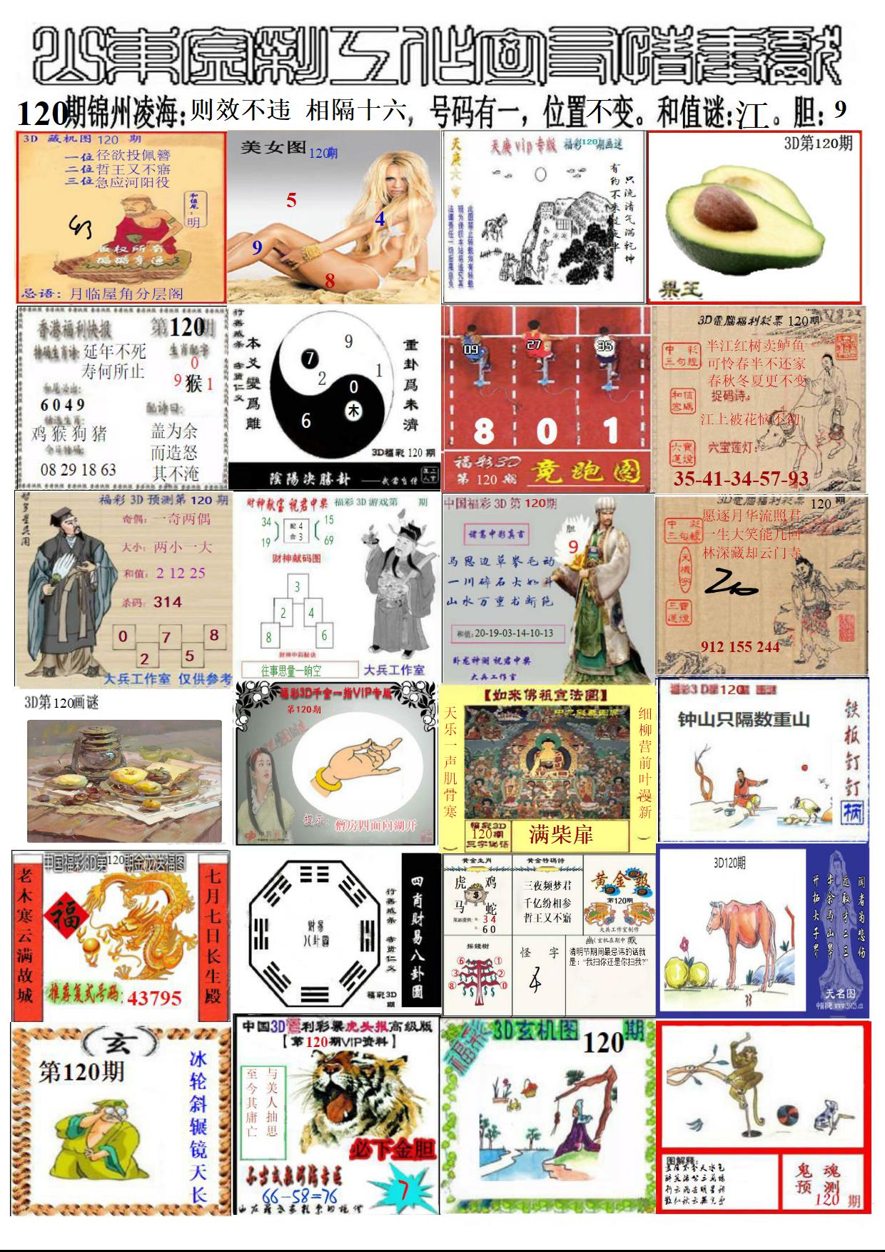 山东金彩