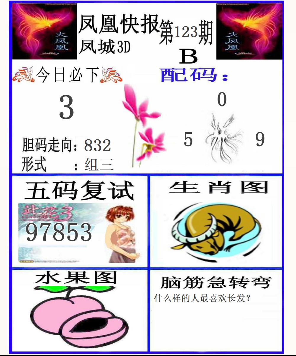 3D凤凰快报B版