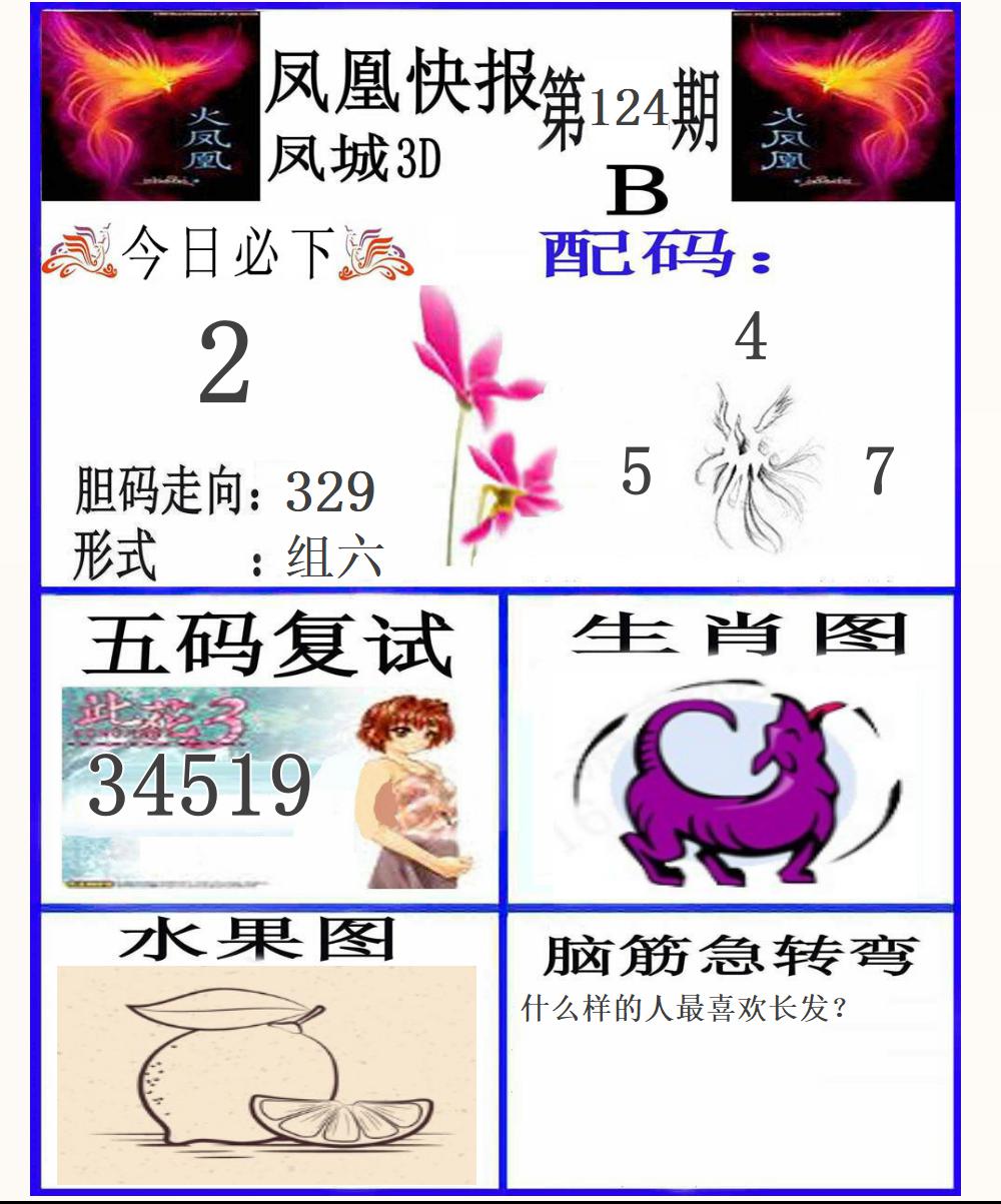 3D凤凰快报B版