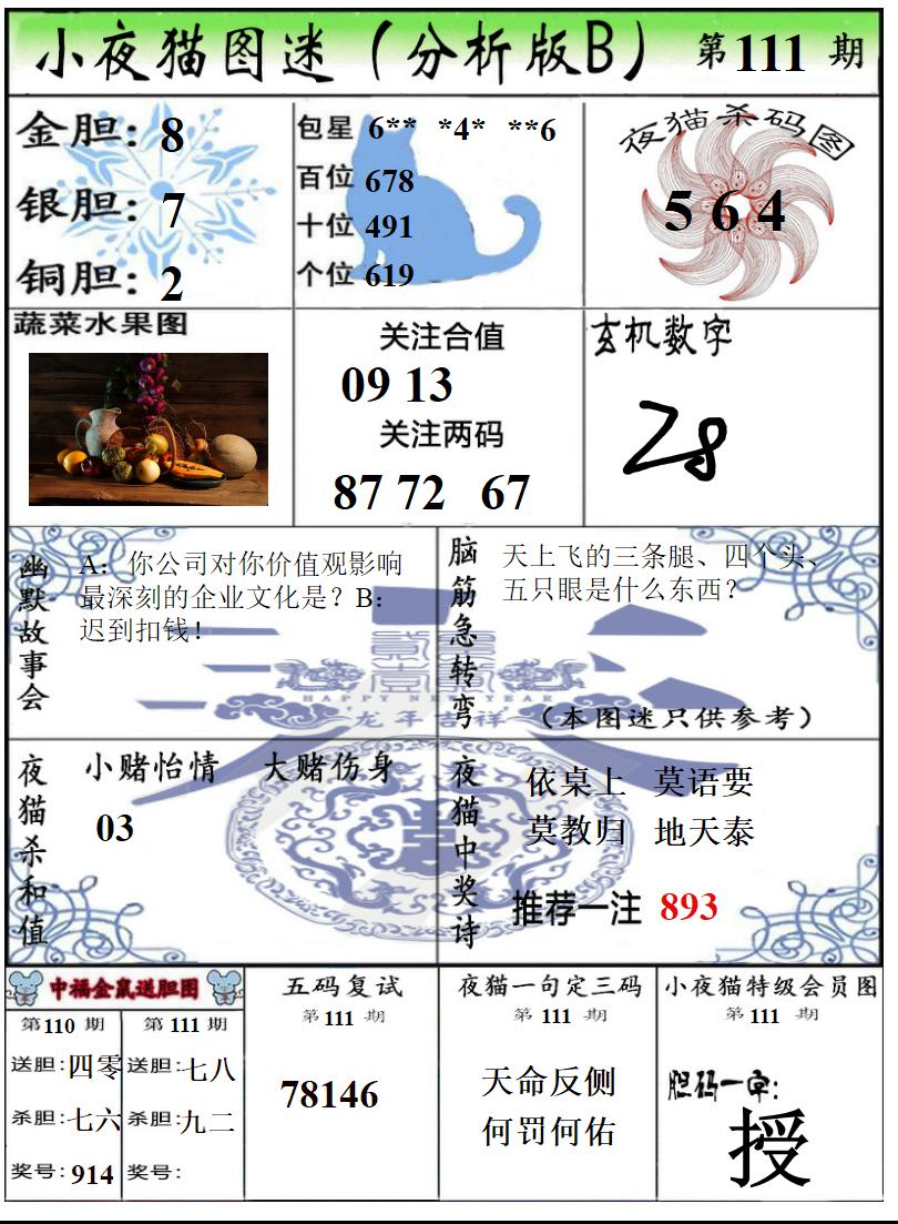 真小猫B