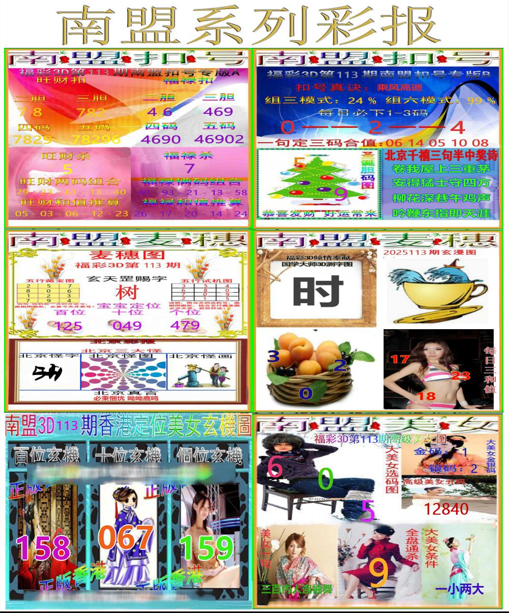 3D南盟系列彩报