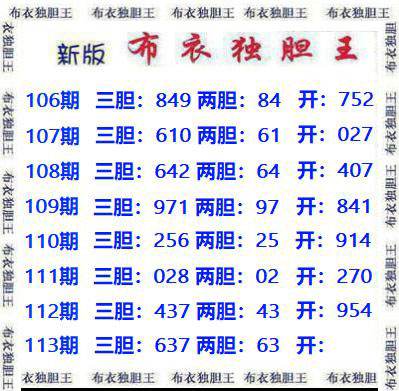 布衣独胆王