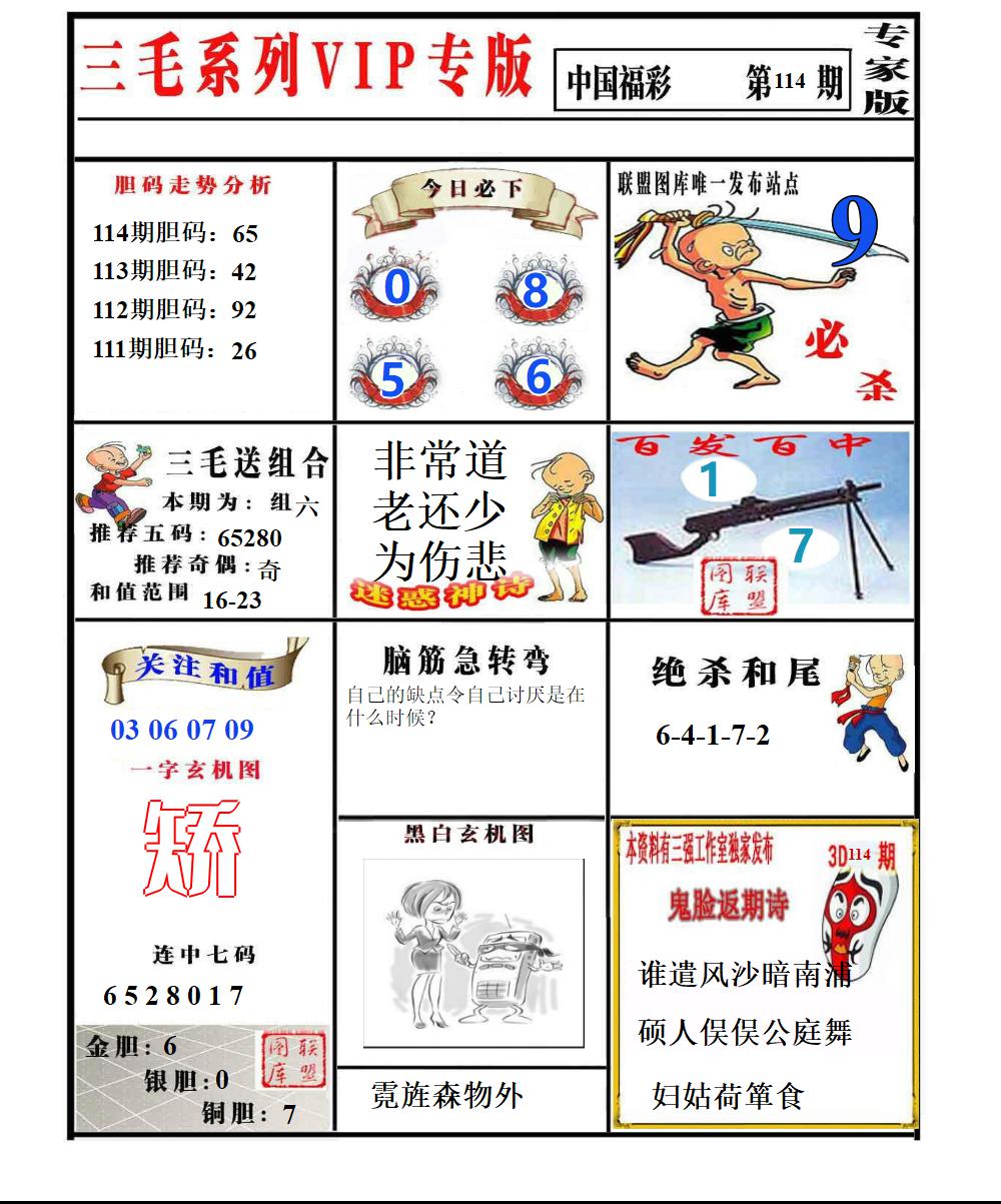 三毛专家版