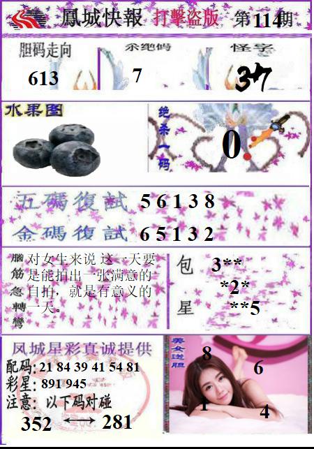 凤城打黑B版