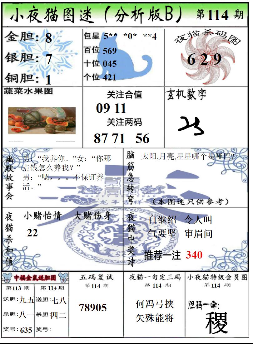 真小猫B