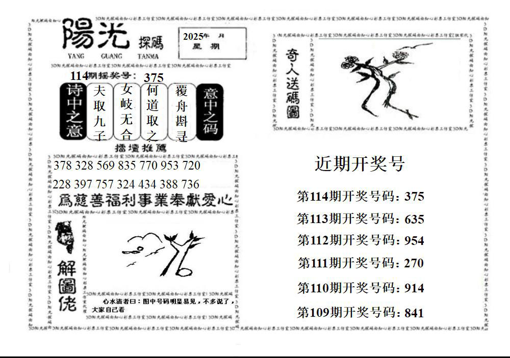 3D阳光探码