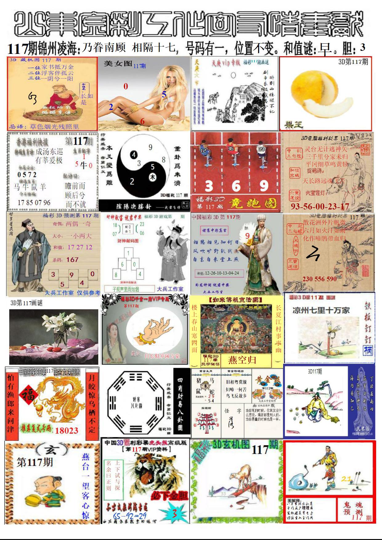山东金彩