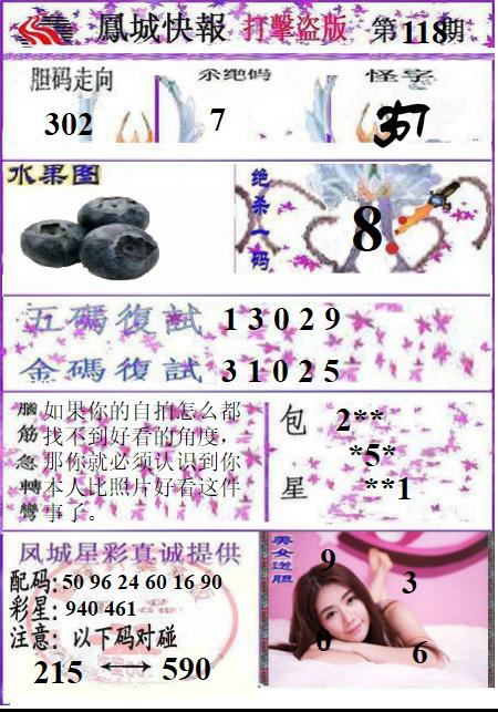 凤城打黑B版