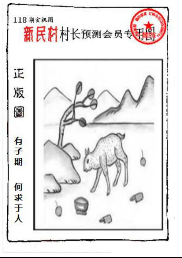 新民村村长预测图