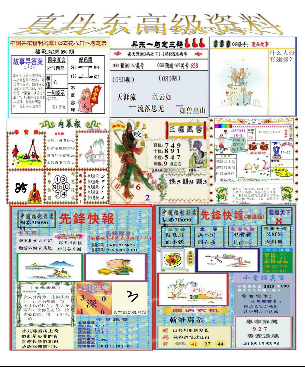 真丹东高级资料